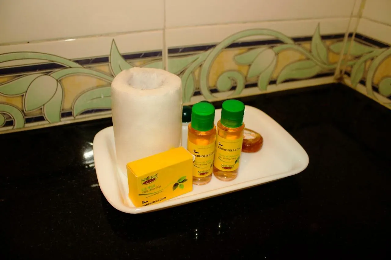 Oyo Hotel Shobha Residency New Delhi 3*,